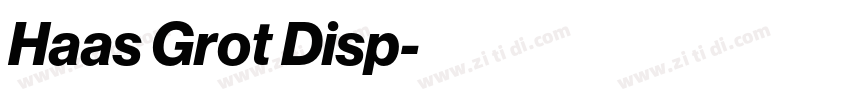 Haas Grot Disp字体转换 Haas Grot Disp字体转换